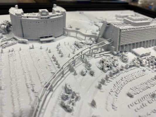 Disney's Contemporary Resort and Bay Lake Towers DVC