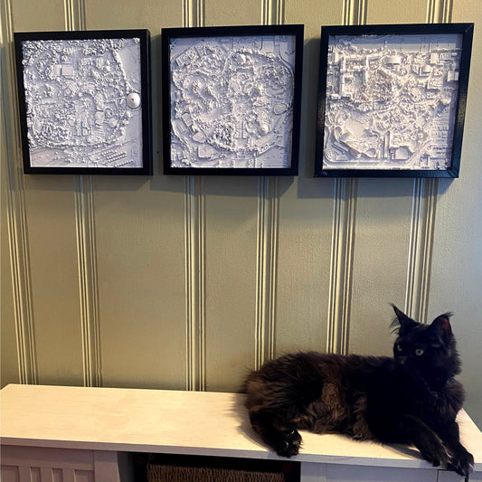 Disneyland Park  24" x 20"