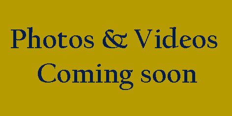 Disneyland Paris, Chessy, FR Seine et Marnee  11" x 14"