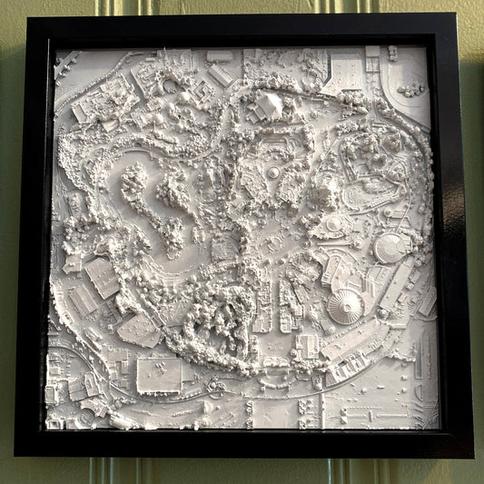 Magic Kingdom  20" x 24"