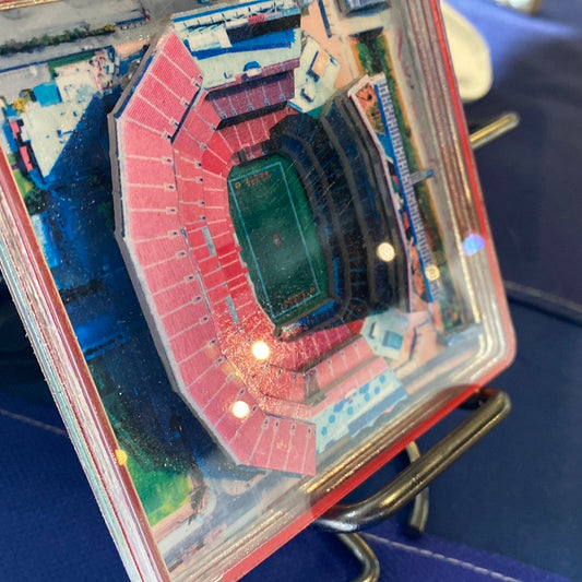 Levi’s Stadium /  San Francisco 49’s CoasterScapes